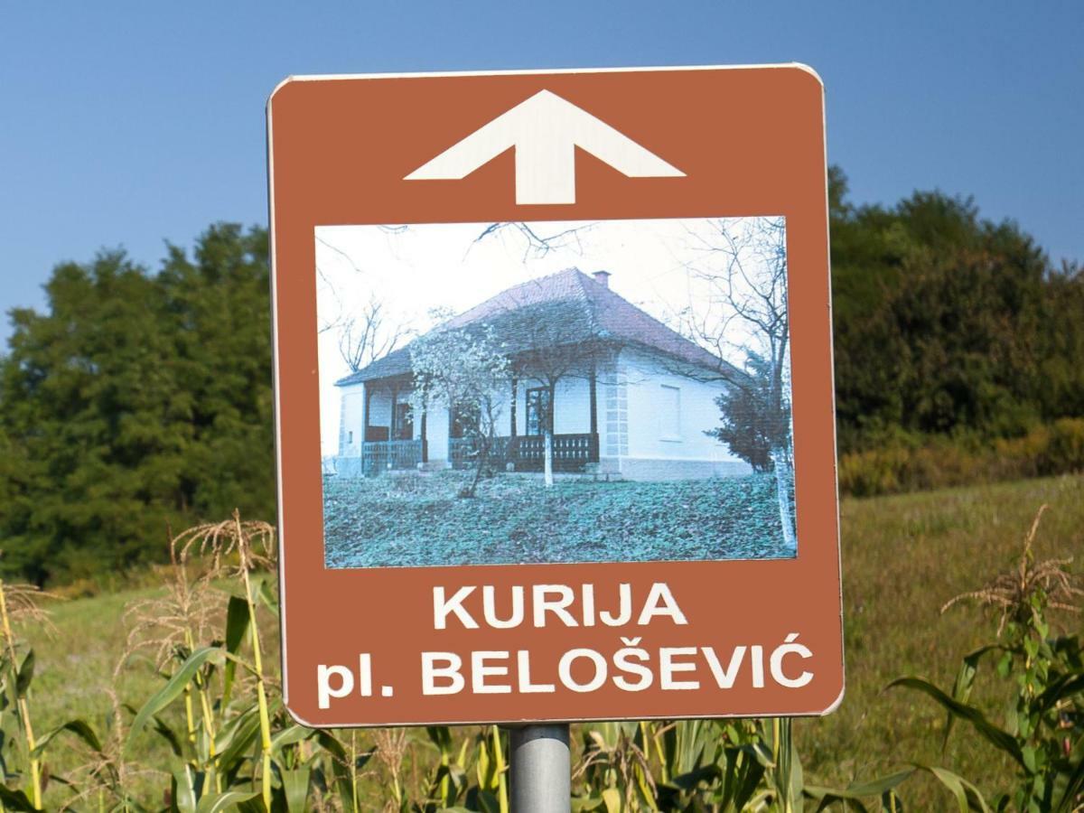 Kurija Inn Hrascina Экстерьер фото